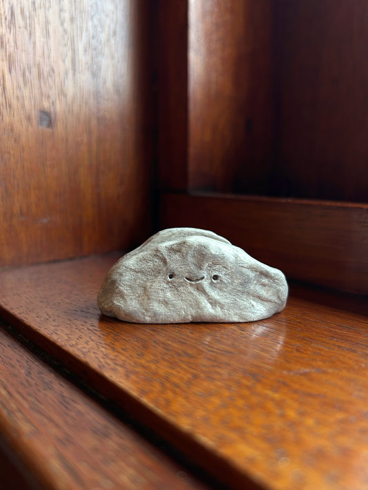 Cute Pebble Postcard & Photo Holder