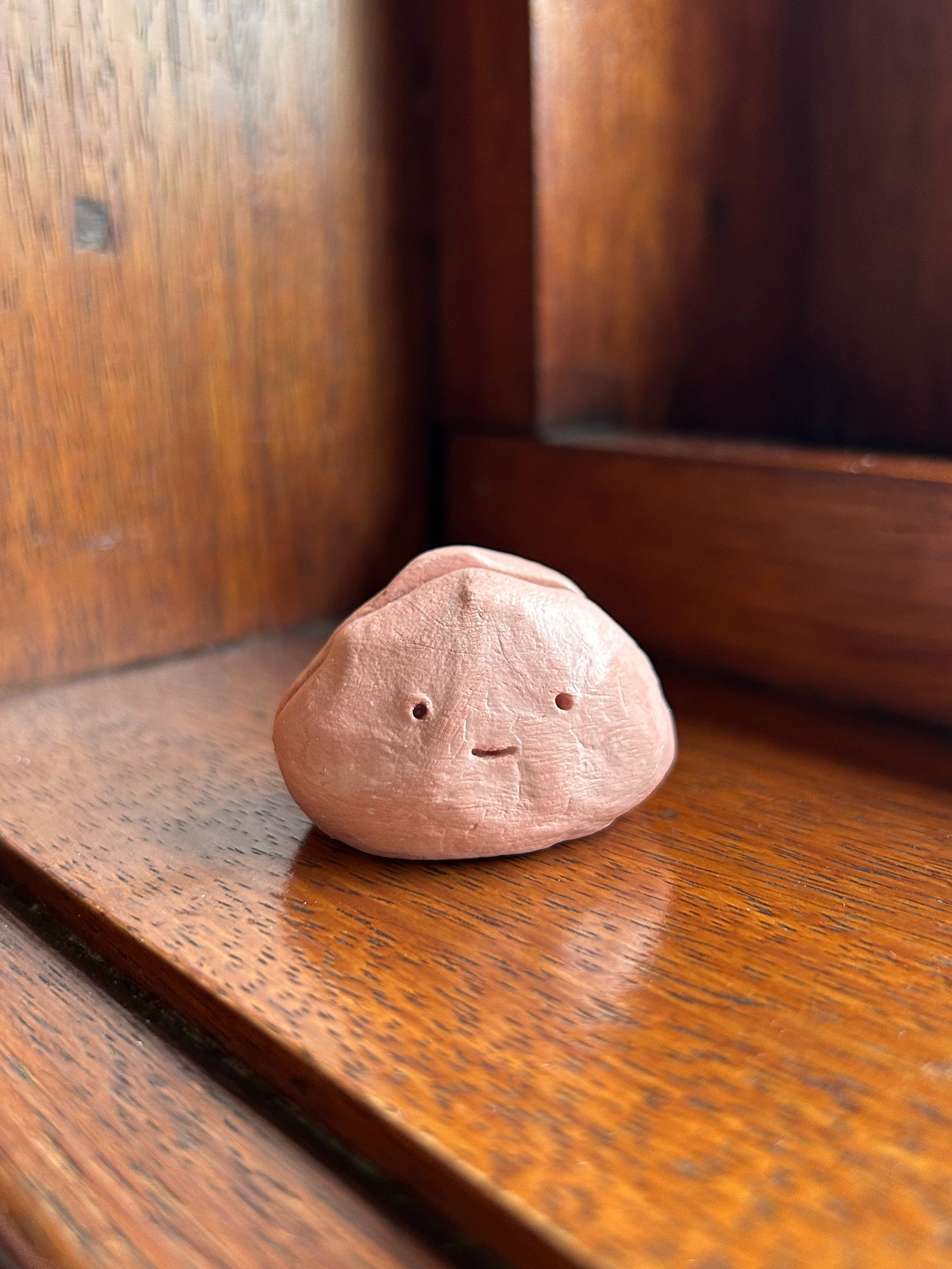 Cute Pebble Postcard & Photo Holder